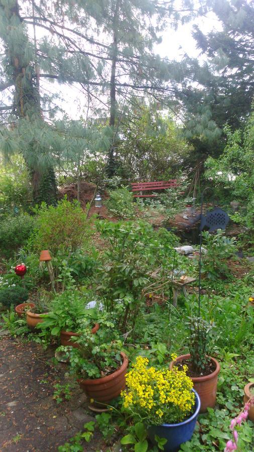 B&B Am Park Rheinfelden Exterior foto